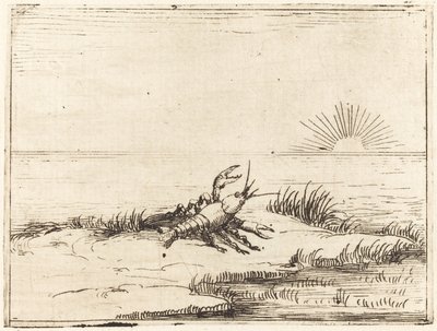 Raci při pohledu na slunce od Jacques Callot