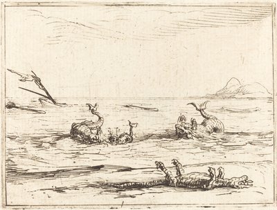 Delfíni a krokodýl od Jacques Callot
