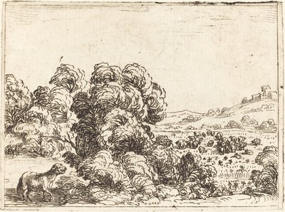 Ovce Volání Jehně od Jacques Callot