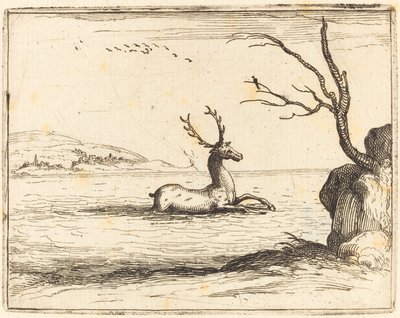 Jelen ve vodě od Jacques Callot