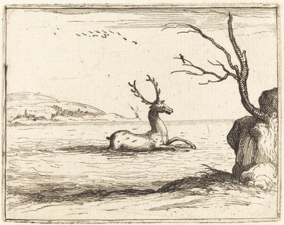 Jelen ve vodě od Jacques Callot