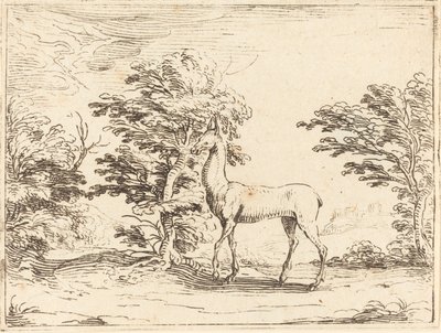 Doe od Jacques Callot