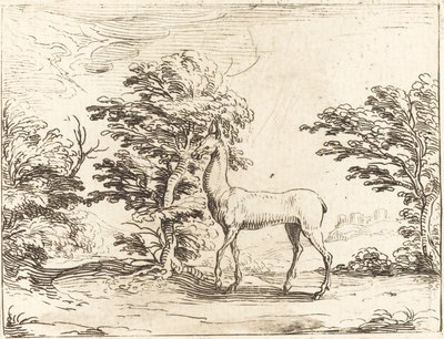 Doe od Jacques Callot