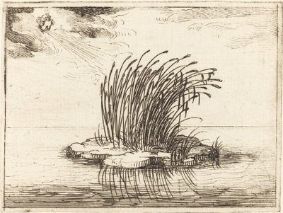 Rákosí a vítr od Jacques Callot