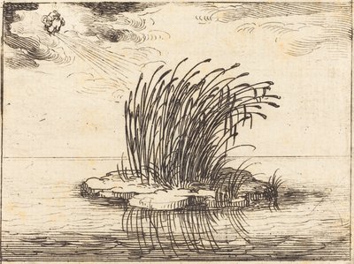 Rákosí a vítr od Jacques Callot