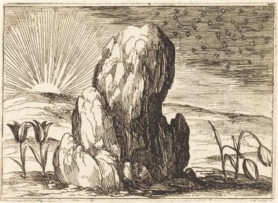 Tulipány a slunce od Jacques Callot