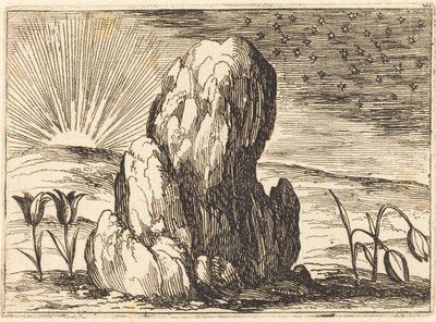 Tulipány a slunce od Jacques Callot