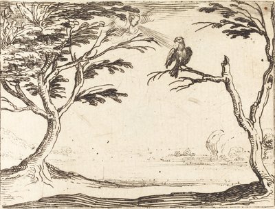 Vulture od Jacques Callot