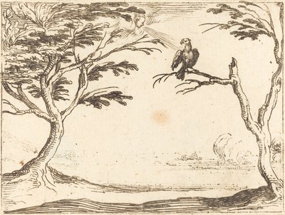 Vulture od Jacques Callot