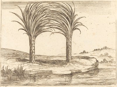 Dvě palmy od Jacques Callot