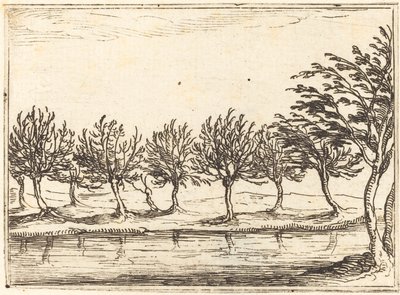 Vrby u Vodního okraje od Jacques Callot