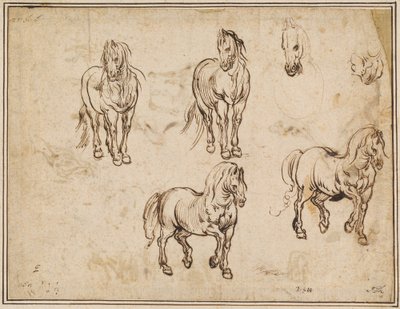Studie koní [recto] od Jacques Callot after Antonio Tempesta