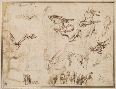Studie koní [verso] od Jacques Callot after Antonio Tempesta
