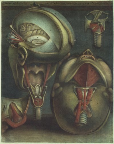Dva pohledy na hlavu, 1746. od Jacques Fabien Gautier dAgoty