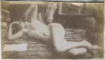Studie nahé modelky ležící na tygří kůži v ateliéru Jacquese de Lalainga od Jacques Lalaing (attributed to)