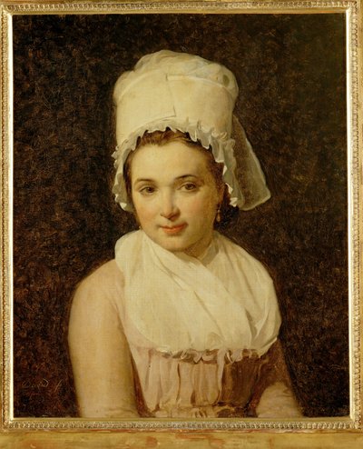 Catherine-Marie-Jeanne Tallardová, manželka Francoise Lamyho, starosty města Sougere/Yonne ... od Jacques Louis David
