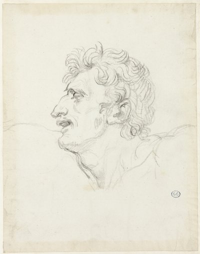 Hlava muže, levý profil od Jacques Louis David