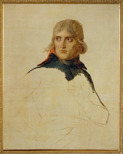 Napoleon Bonaparte ... od Jacques Louis David