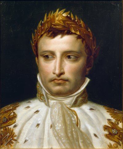 Napoleon I. v korunovačních šatech od Jacques Louis David