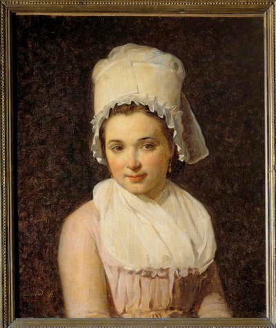Portrét Catherine Marie Tallardové (1772-1825) manželky Francoise Lamyho, starosty Sougeres v obraze Yonne od Jacquese Louise Davida (1748-1825) 1795 Sun. 0,64x0,54 m - Portrét Catherine Marie Tallardové (1772-1825), manželky Francoise Lamyho, starosty Sou od Jacques Louis David