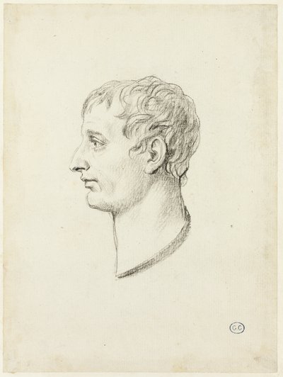 Profil Napoleona od Jacques Louis David