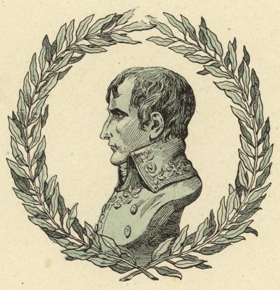 Busta Napoleona Bonaparta od Jacques Marie Gaston Onfray de Breville (Job)