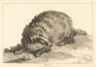 Blereau (jezevec) od Jacques Philippe Le Bas and Jean Eric Rehn after Jean Baptiste Oudry