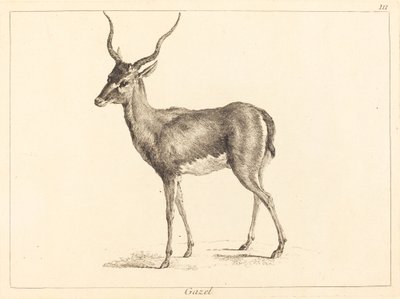 gazela (Gazelle) od Jacques Philippe Le Bas and Jean Eric Rehn after Jean Baptiste Oudry
