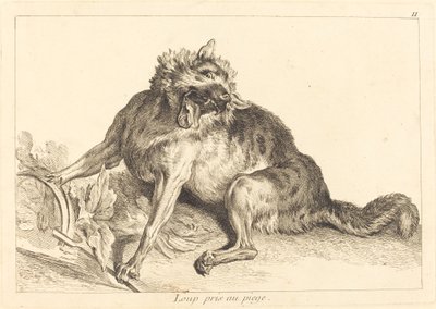Vlk chycen v pasti od Jacques Philippe Le Bas and Jean Eric Rehn after Jean Baptiste Oudry