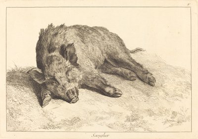 Sanglier (Divočák vleže, zamiřte doleva) od Jacques Philippe Le Bas and Jean Eric Rehn after Jean Baptiste Oudry