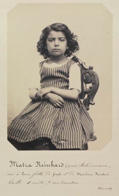 Pouhý Reinhardt, 1868. od Jacques Philippe Potteau
