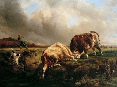 Býčí zápas od Jacques Raymond Brascassat