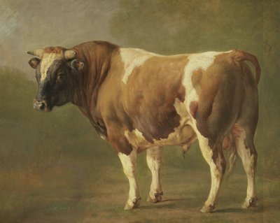Studie býka od Jacques Raymond Brascassat