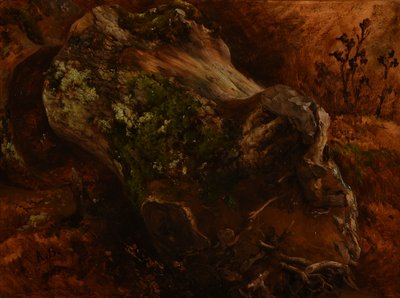 Kmen stromu rozříznutý kořeny od Jacques Raymond Brascassat