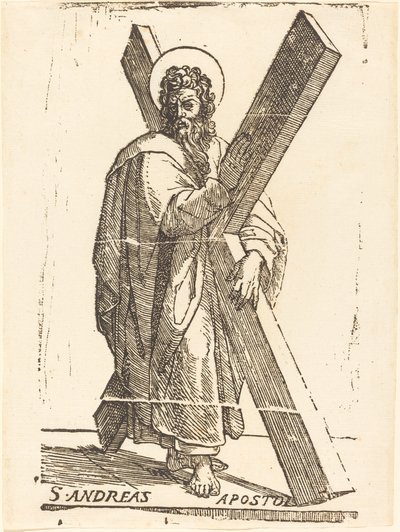 Svatý Ondřej od Jacques Stella