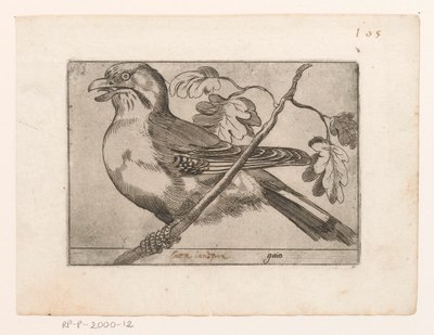 Gaai Gaio (název na objektu) Vogels (název série) od Jacques de Fornazeris (possibly)