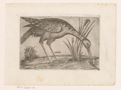 Vogel Tartena (název na objektu) Vogels (název série) od Jacques de Fornazeris (possibly)