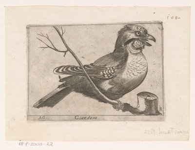 Jay (Garrulus glandarius) Giandara (titul na objektu) Ptáci (název seriálu) od Jacques de Fornazeris