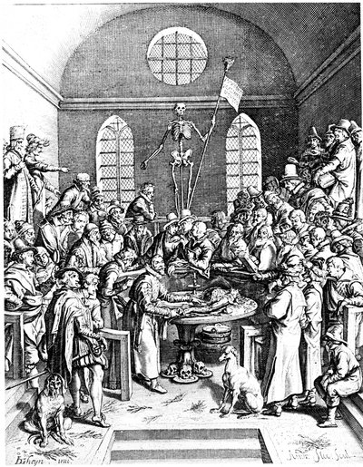 Anatomické divadlo z konce 16. století, Jacques de Gheyn starší, 1633 od Jacques de Gehyn the Elder