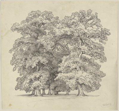  od Jakob Becker