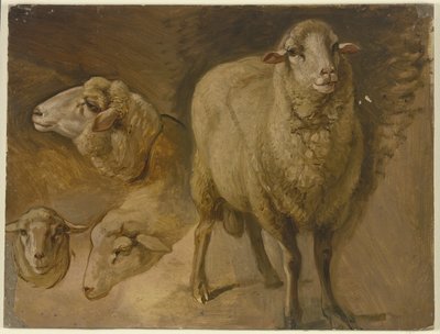  od Jakob Becker