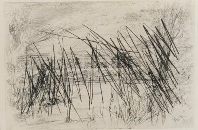 Krajina s rybářem, 1861. od James Abbott McNeill Whistler