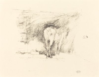 Studie koně, 1895. od James Abbott McNeill Whistler