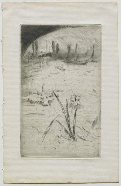 Swan a Iris, 1883. od James Abbott McNeill Whistler