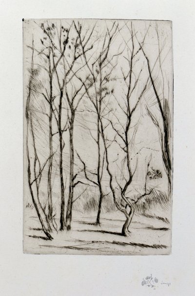 Přehradní les od James Abbott McNeill Whistler