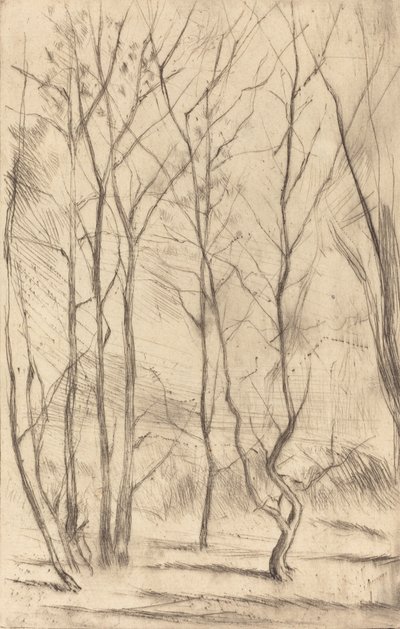 The Dam Wood, 1875. od James Abbott McNeill Whistler