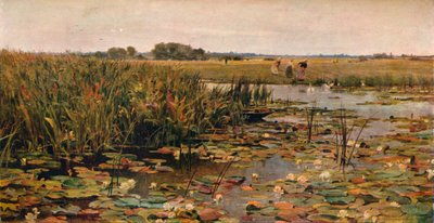 Lekníny, c1870 od James Aumonier