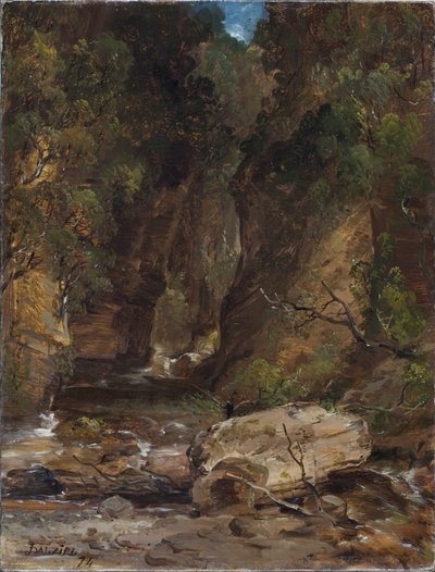 Skály a stromy s proudem od James B. Dalziel