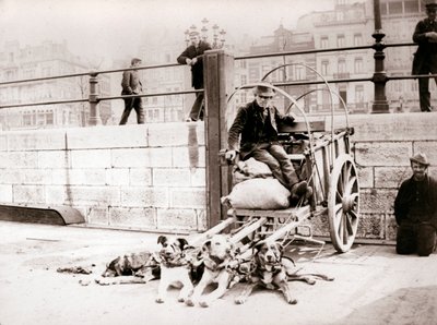 Muž s psím vozíkem, Antverpy, 1898. od James Batkin
