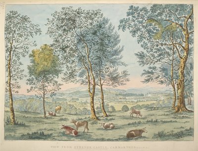 Maps K, Top 46. 35 c Pohled z hradu Dynevor, Carmarthen (ručně kolorovaný lept) od James Bretherton